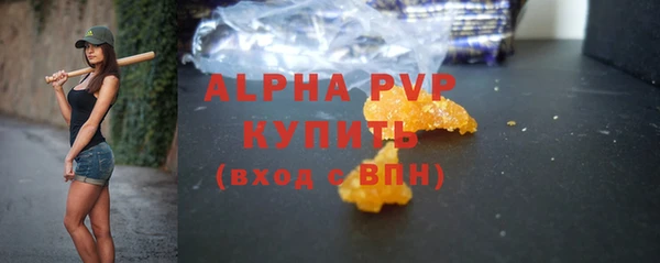 сатива Ростов