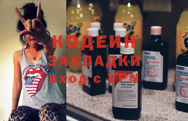 сатива Ростов