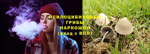ГАЛЛЮЦИНОГЕННЫЕ ГРИБЫ Галич