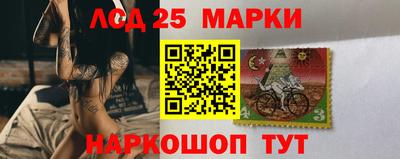 гашик Новодвинск