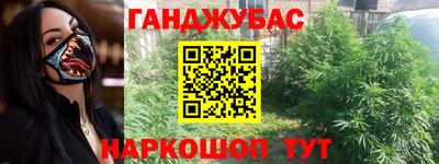 гашик Новодвинск