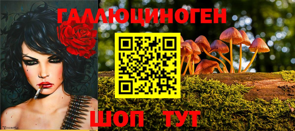Галлюциногенные грибы GOLDEN TEACHER  Галлюциногенные грибы мухоморы  Тулун  Вход с VPN 